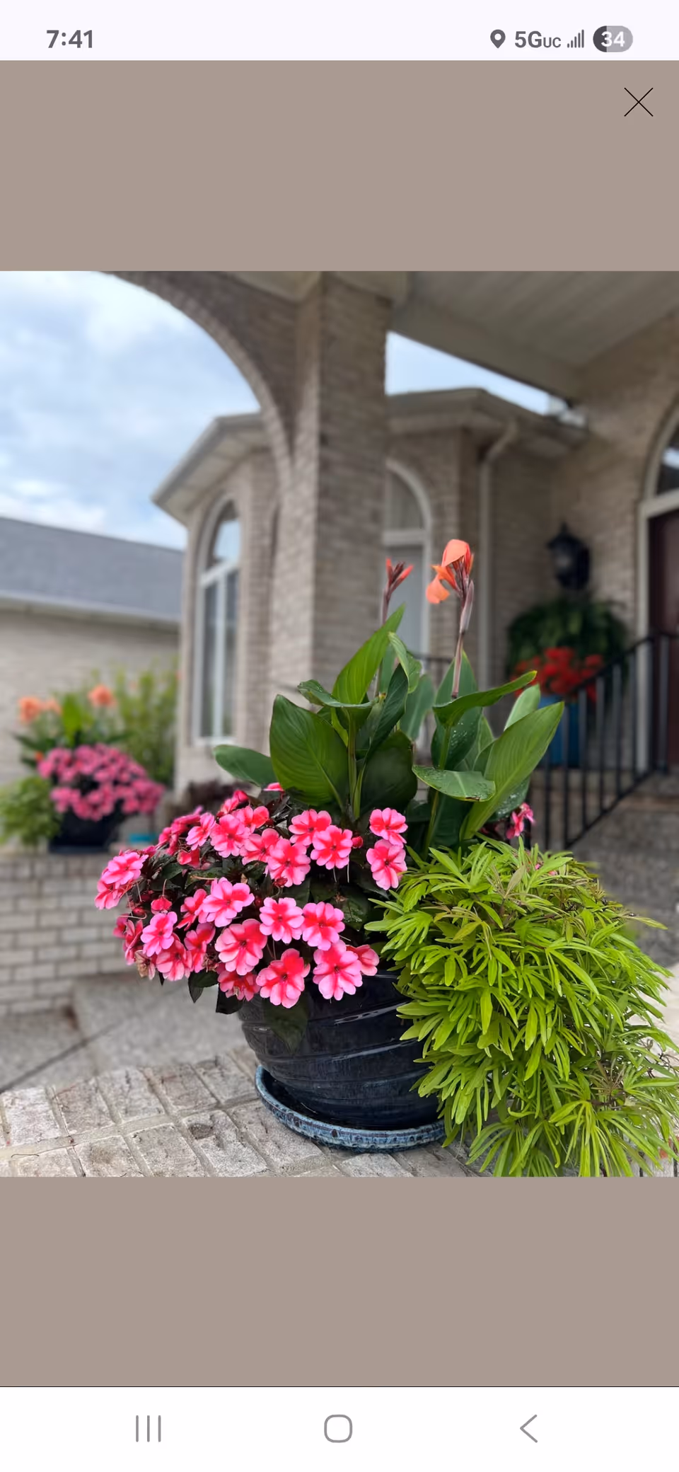 Potted pink and green flowering plants on the front steps of a brick house with arched windows.