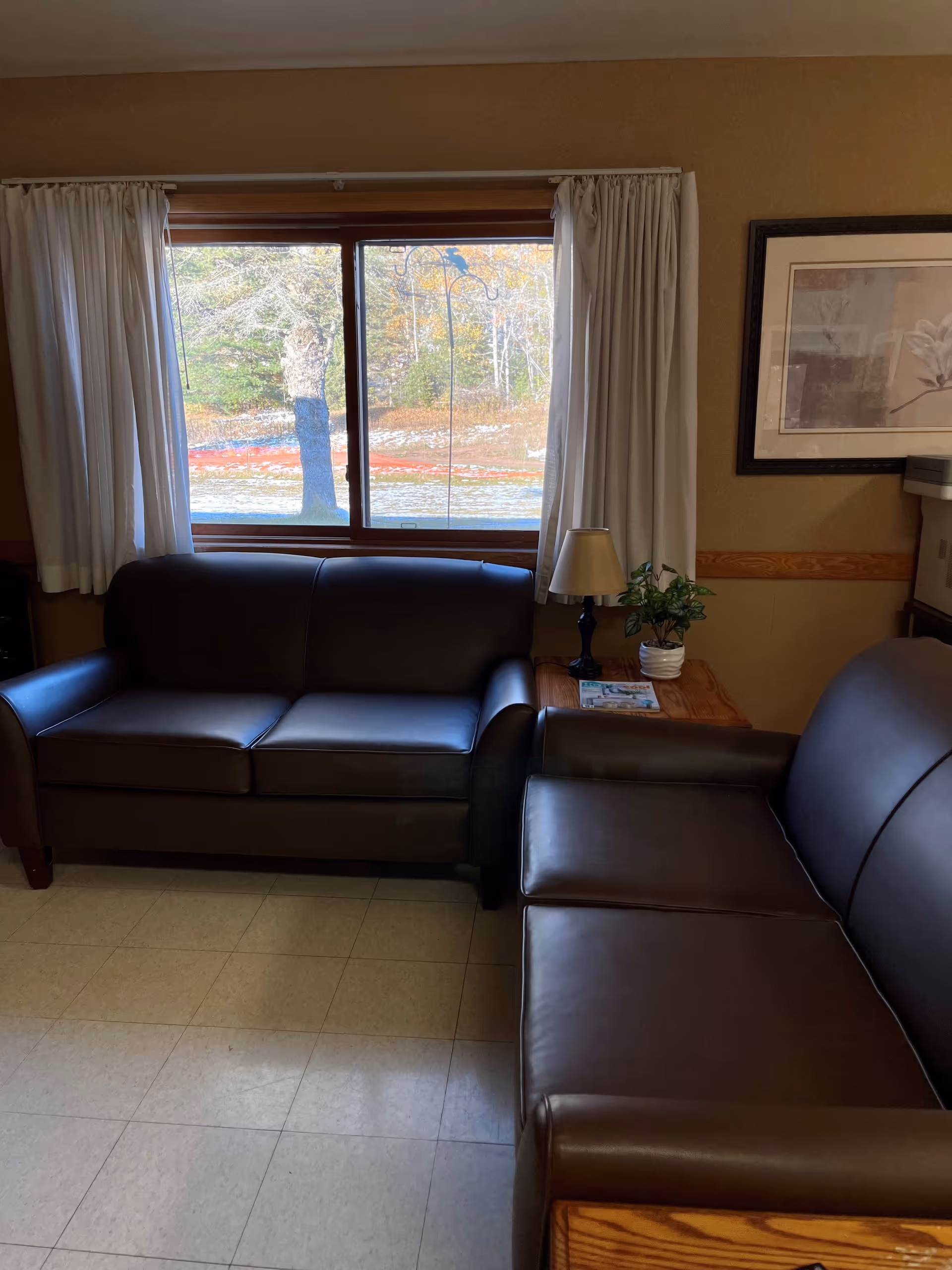 A cozy living room area with two dark brown leather sofas arranged around a wooden side table. The side table holds a small lamp and a potted plant. Behind the sofas is a large window with white curtains, showing a view of trees and a body of water outside. A framed picture hangs on the wall to the right.