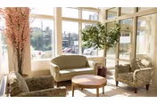 A bright seating area with large windows letting in natural light. The space includes a green loveseat, two patterned armchairs, a round wooden coffee table, a tall plant in a pot, and a decorative tall branch arrangement near the window.