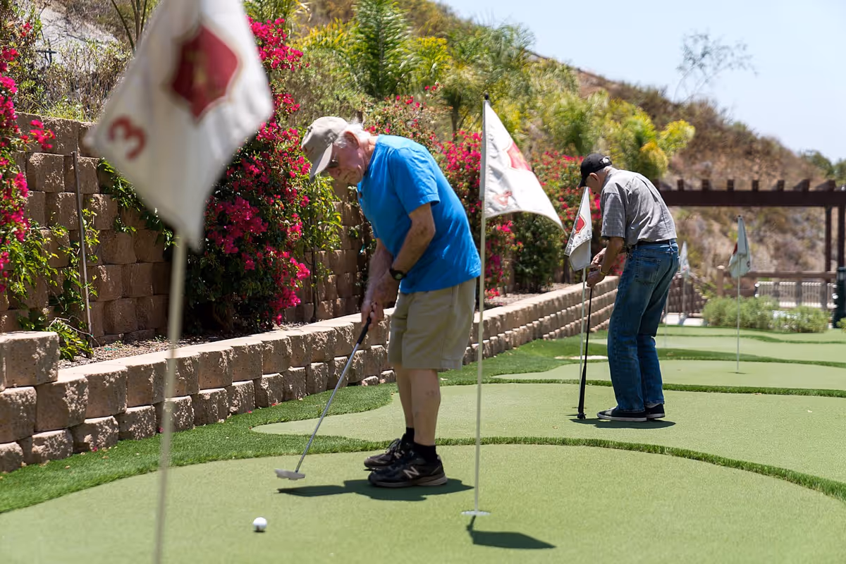 Two elderly men playing mini golf on a putting green surrounded by flowering bushes and a stone retaining wall under a clear blue sky.