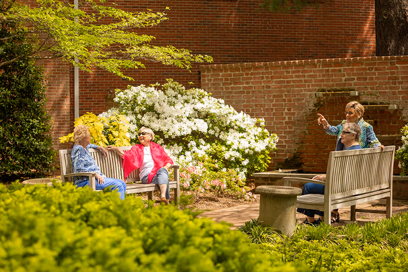 Four elderly women sitting and chatting on wooden benches in a sunny garden area with green bushes, white flowering shrubs, and a brick wall in the background.