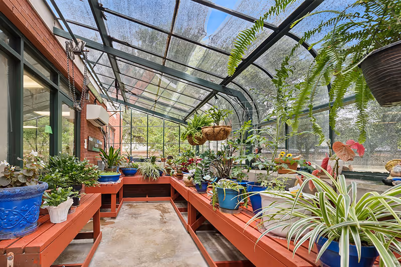 A bright greenhouse room with a glass ceiling and walls, filled with various potted plants on red wooden benches. The plants include ferns, flowering plants, and leafy green plants in blue and other colored pots. The greenhouse is attached to a brick building with windows on one side.