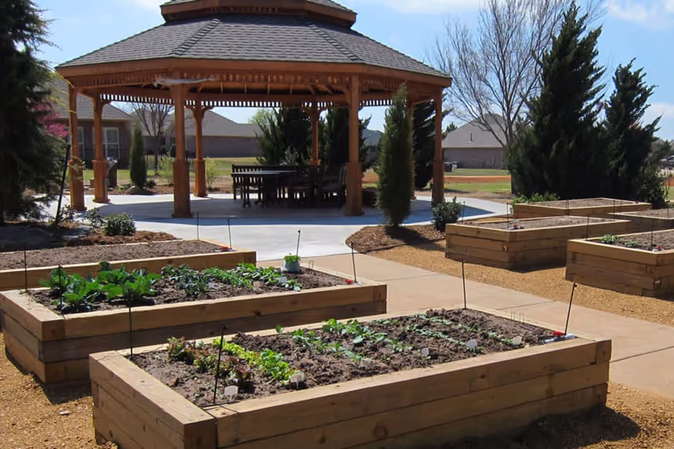 Raised wooden garden beds with young vegetables in front of a wooden gazebo on landscaped grounds.