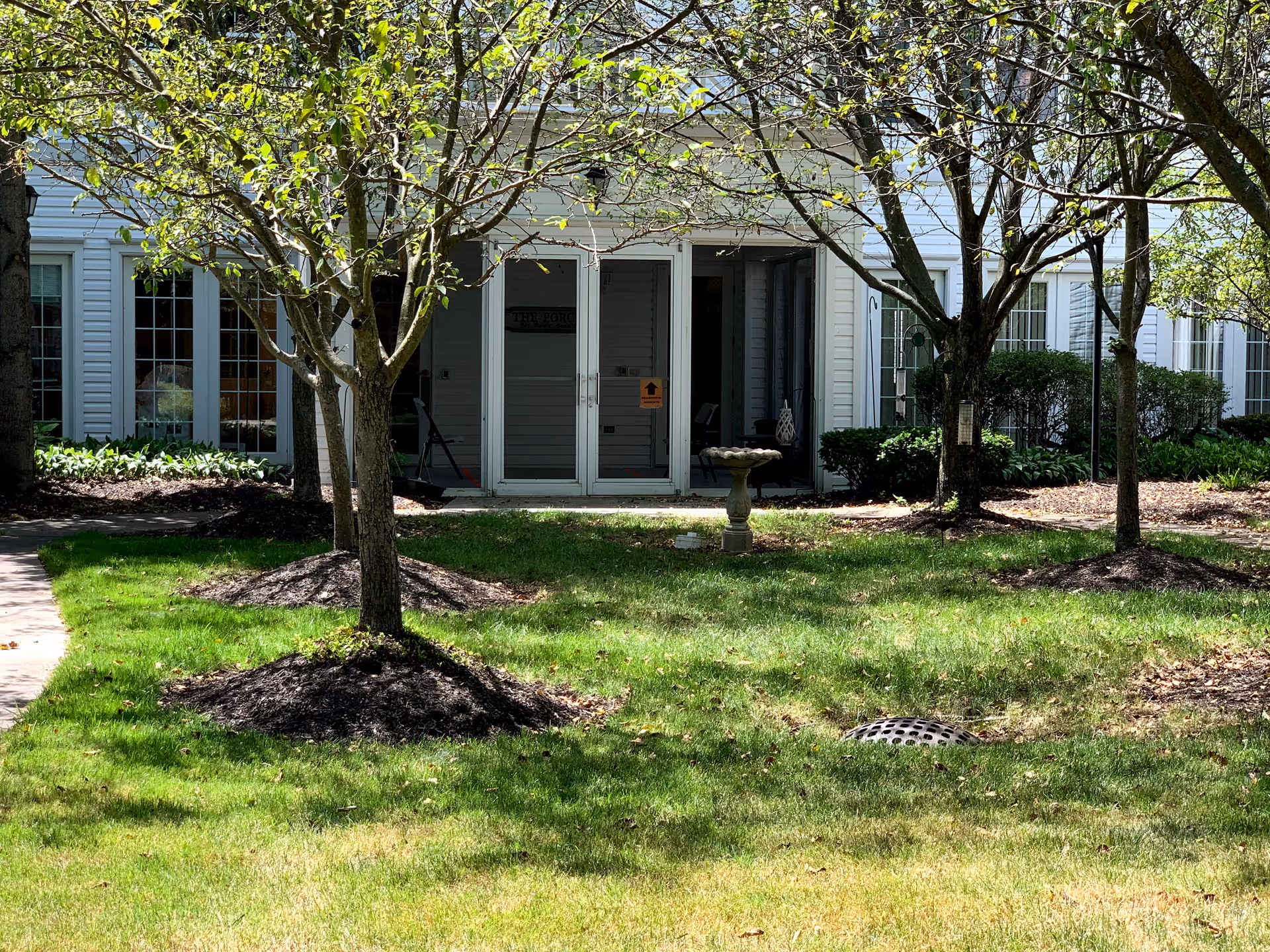 A grassy courtyard area with several small trees planted in mulched beds. In the background, there is a white building with large windows and glass doors leading inside. A birdbath is situated near the center of the courtyard.