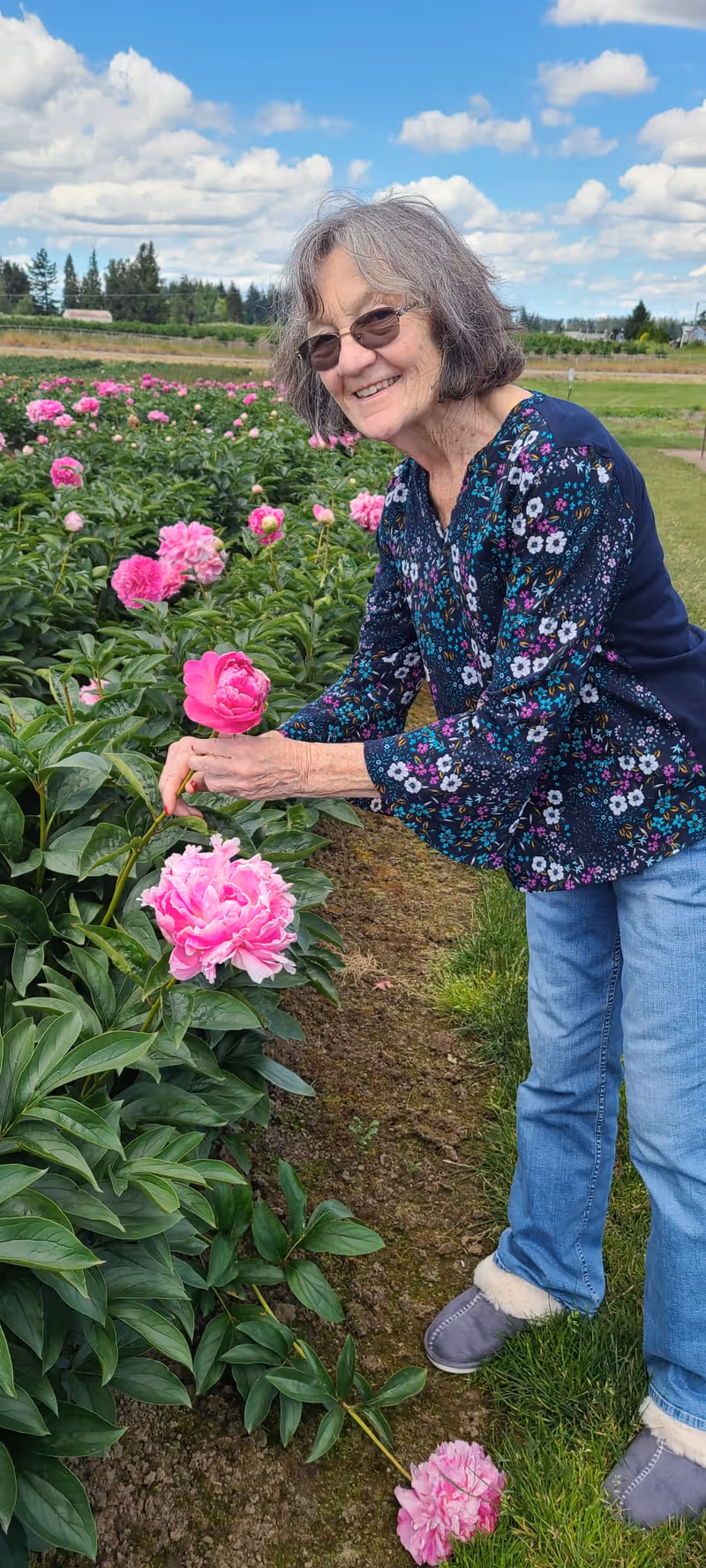 An elderly woman wearing glasses, a floral patterned blouse, blue jeans, and gray slippers is standing outdoors in a garden. She is smiling and gently holding a bright pink flower among rows of similar pink flowers and green plants under a partly cloudy blue sky.