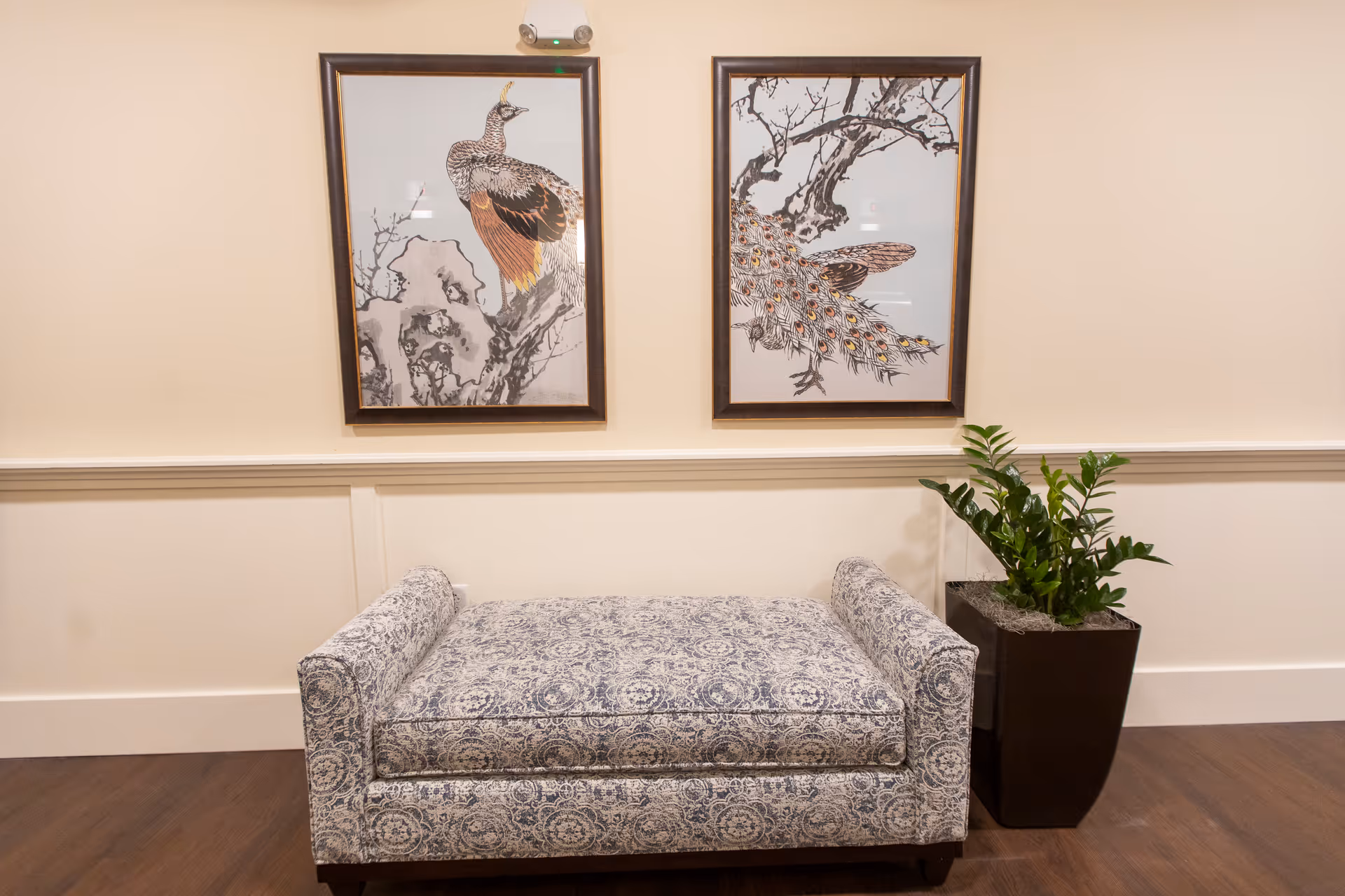 Upholstered patterned bench beneath two framed peacock prints with a potted plant against a cream wall.