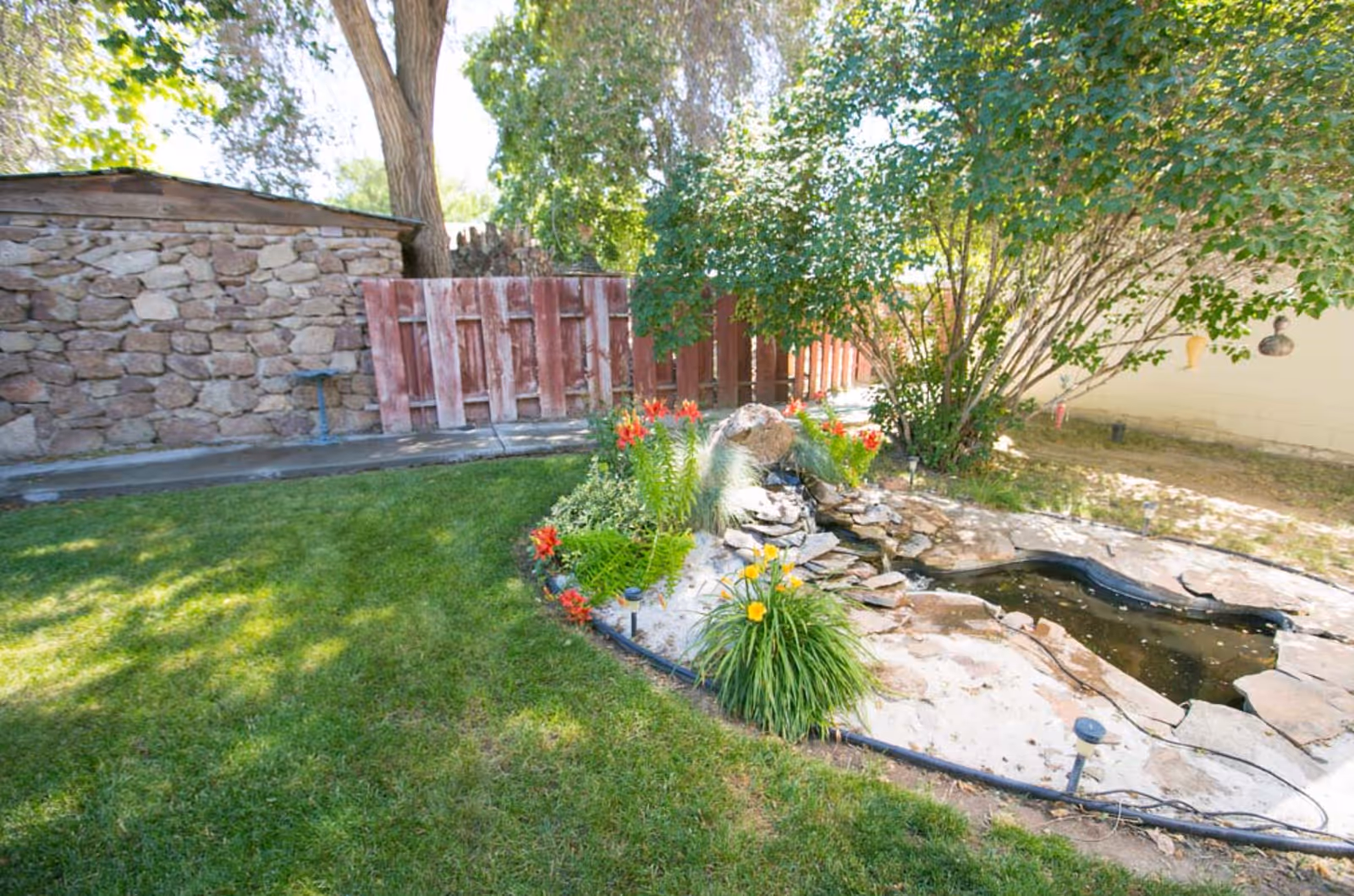 A serene outdoor garden area with a small pond surrounded by rocks and colorful flowers, green grass, a tree providing shade, a stone wall, and a wooden fence in the background.