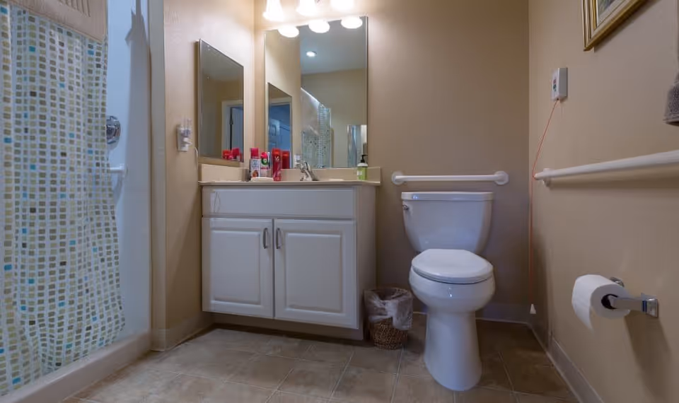 A clean and accessible bathroom featuring a white toilet with grab bars on the wall, a white vanity with a sink and mirror above it, a shower with a patterned curtain, and tiled flooring.