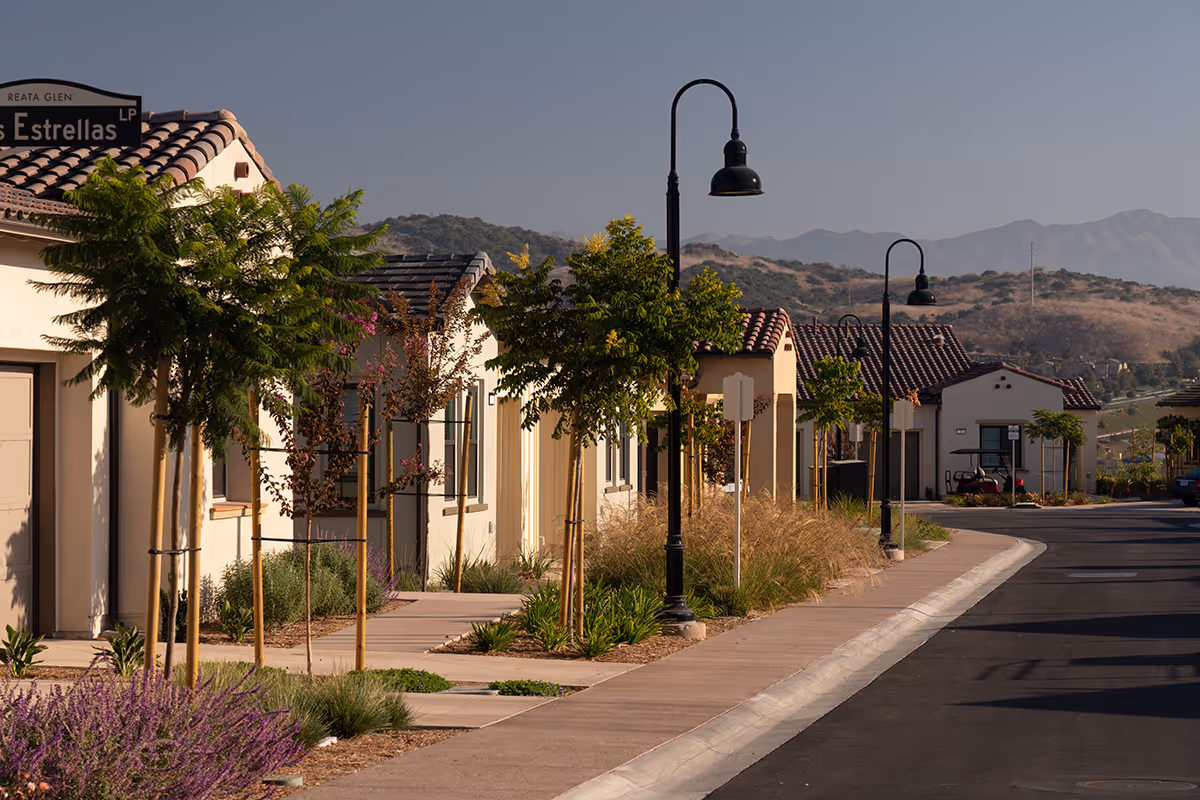 Street view of a residential area at Reata Glen with single-story houses featuring tiled roofs, young trees planted along the sidewalk, street lamps, and mountains in the background under a clear sky.