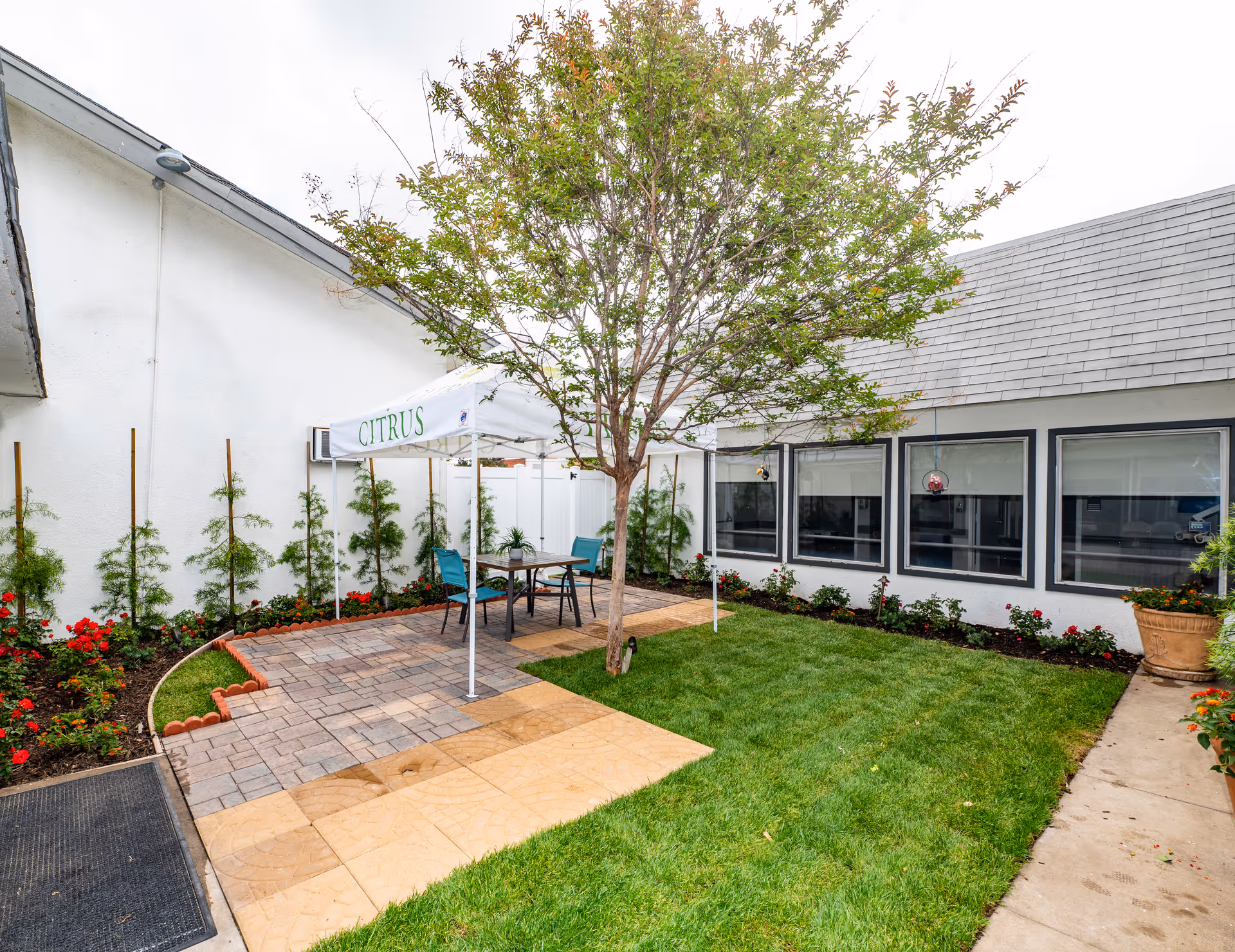Outdoor courtyard area at Citrus Nursing Center with a paved patio, a white canopy labeled 'CITRUS', a table with four chairs, a tree in the center, green grass, and flower beds along the building walls.