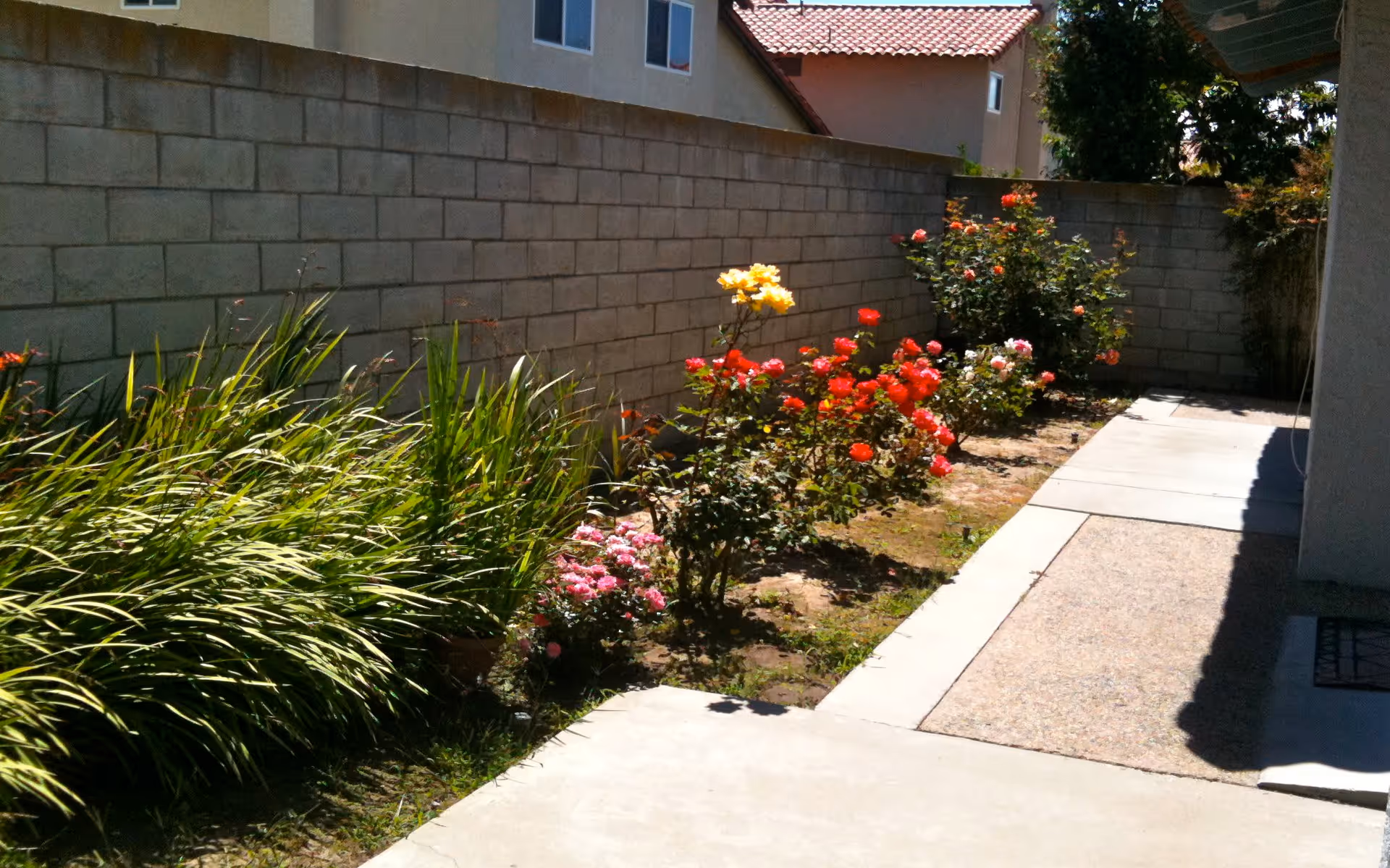 A garden area alongside a concrete pathway with various flowering plants including red, yellow, and pink flowers, bordered by a tall brick wall and adjacent to a building with a tiled roof.