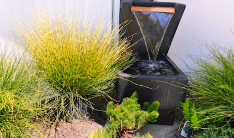 Outdoor fountain surrounded by tall ornamental grasses and desert plants.