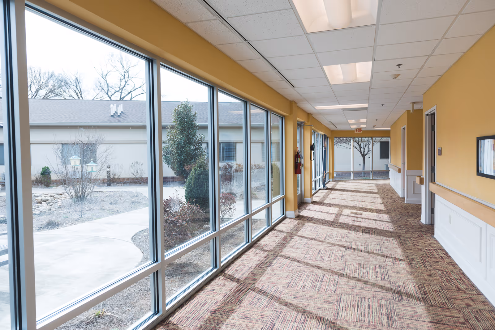 A bright hallway with large floor-to-ceiling windows on the left side showing an outdoor garden area. The hallway has yellow walls with white wainscoting, a patterned carpet, ceiling lights, and a fire extinguisher mounted on the wall.
