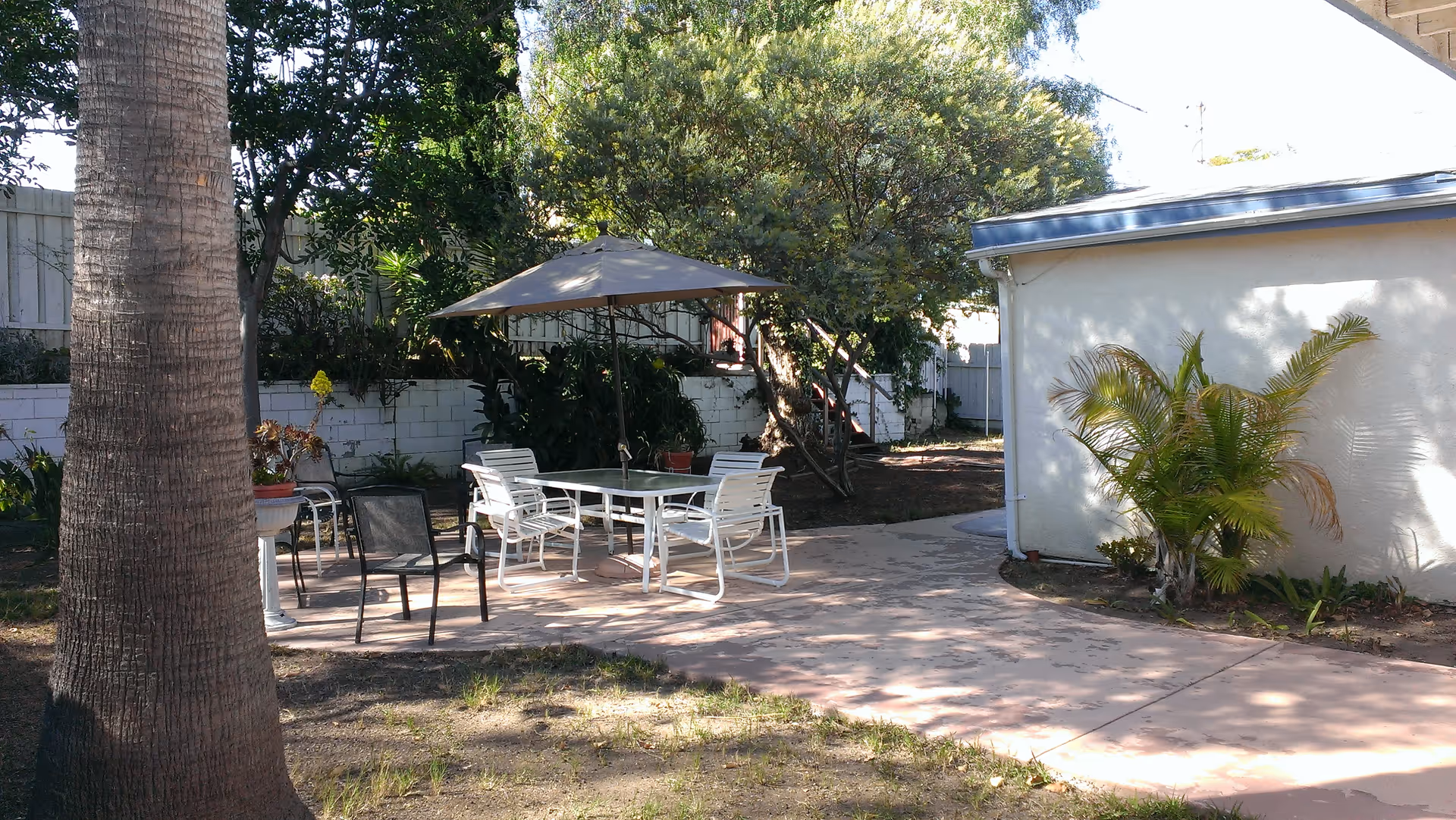 Outdoor patio area with a glass table and several chairs under a large umbrella. The patio is surrounded by trees and plants, with a white building wall on the right side and a large tree trunk in the foreground on the left.