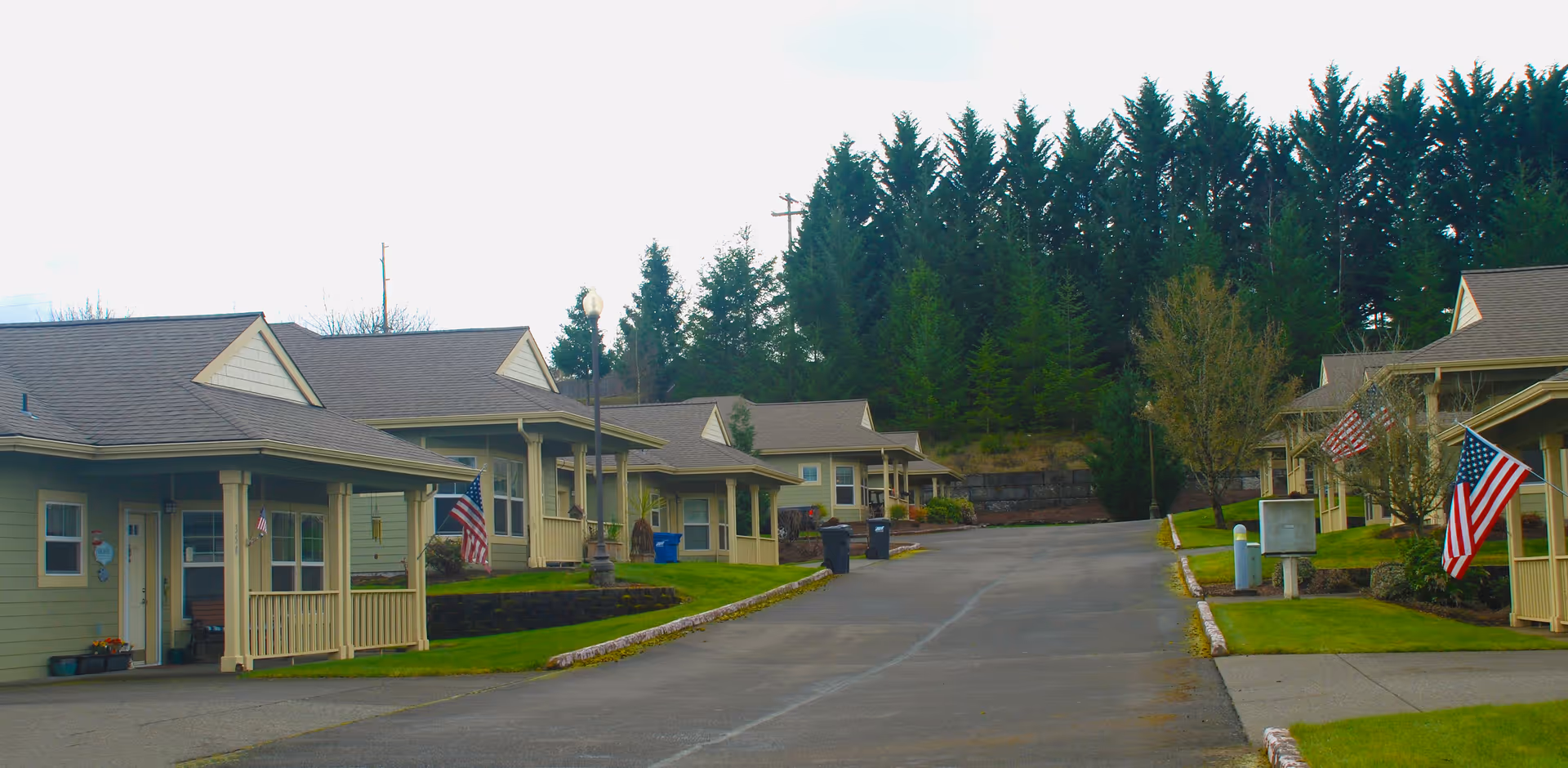 A quiet residential street in a senior living community with single-story houses on both sides, each with a small front porch and American flags displayed. The street is lined with green lawns and trees, with a backdrop of tall evergreen trees.
