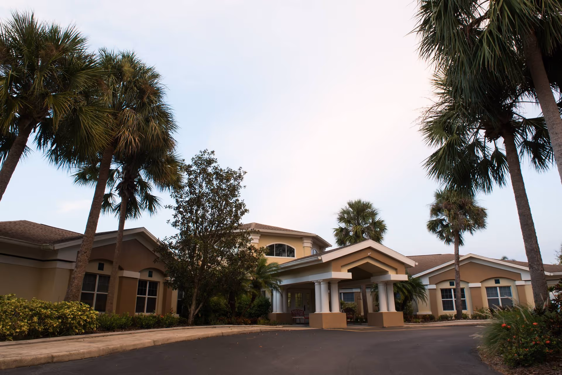 Exterior view of a senior living facility building with a covered entrance, surrounded by palm trees and landscaped bushes under a clear sky.