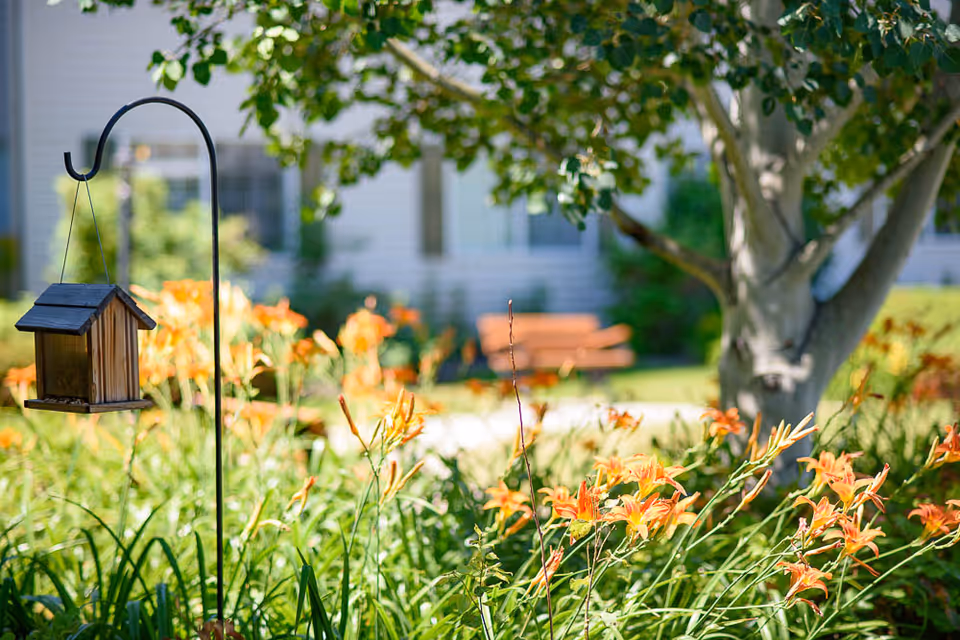 A garden area with orange flowers and a wooden bird feeder hanging from a black metal hook. In the background, there is a tree, a bench, and a building with windows.