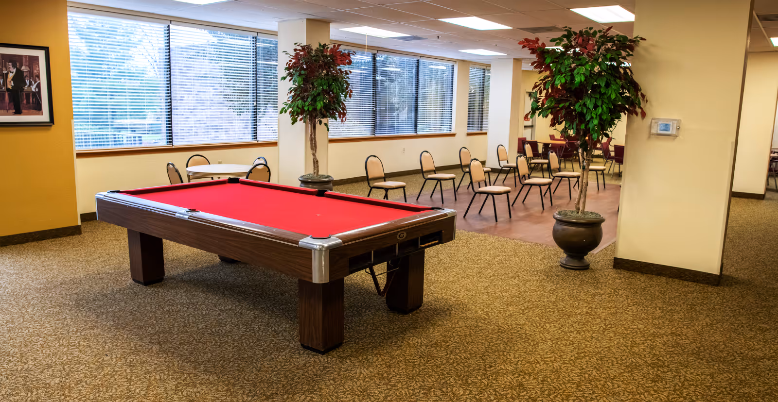Interior of a senior living facility common area with a red felt pool table in the foreground, several chairs arranged in rows, large windows with blinds, two potted artificial trees, and a framed picture on a yellow wall.
