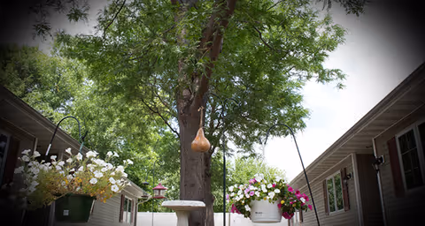 Courtyard between two single-story buildings with trees, flowers, and hanging planters.