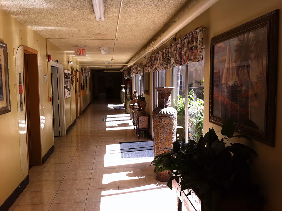 Long sunlit hallway with potted plants, decorative vases, and framed wall art.