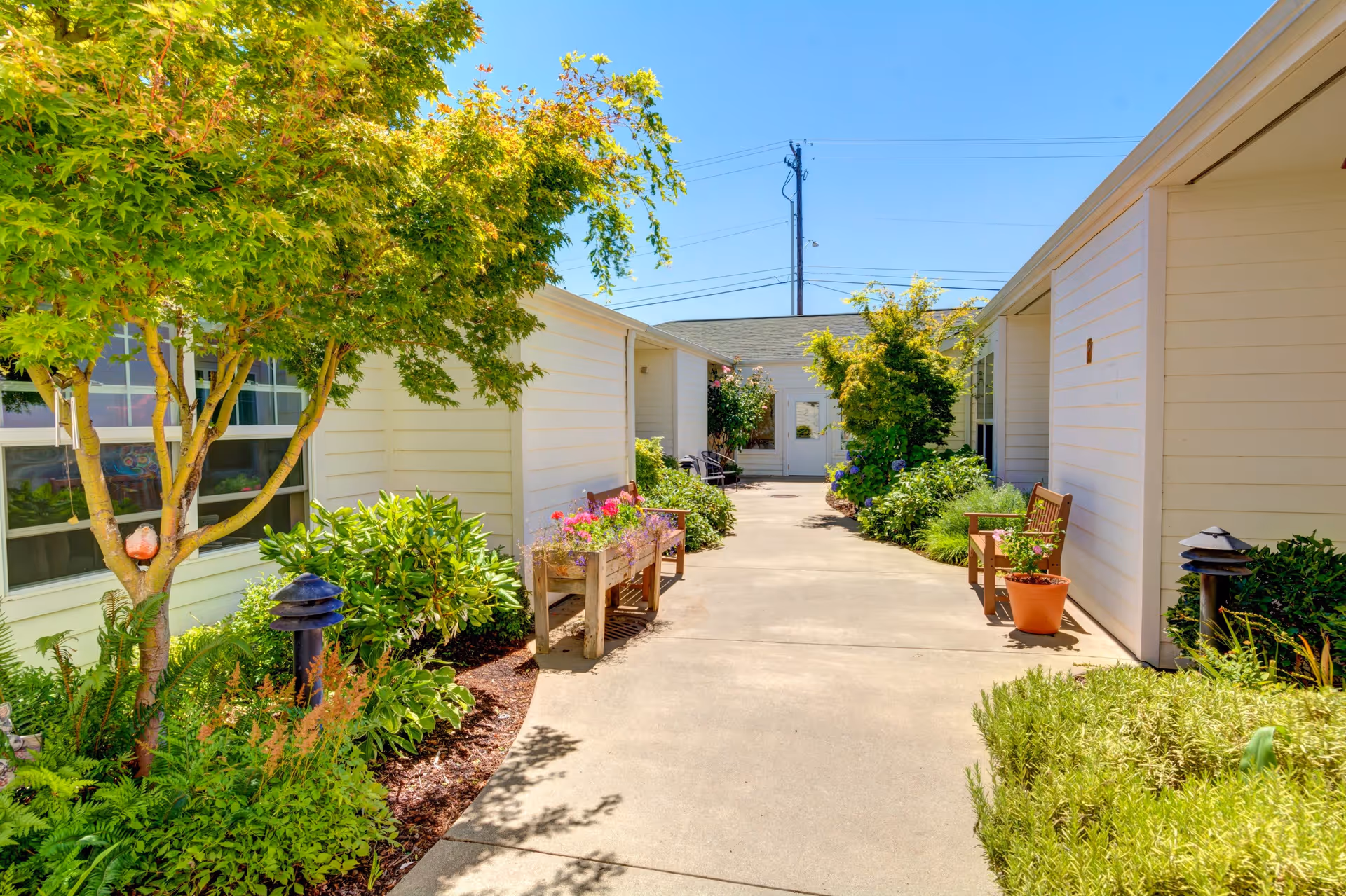 A sunny outdoor courtyard area at Callahan Court Memory Care featuring a concrete walkway flanked by green shrubs, potted plants, and small trees. There are benches and a wooden planter box with flowers along the path, with white building walls on either side under a clear blue sky.