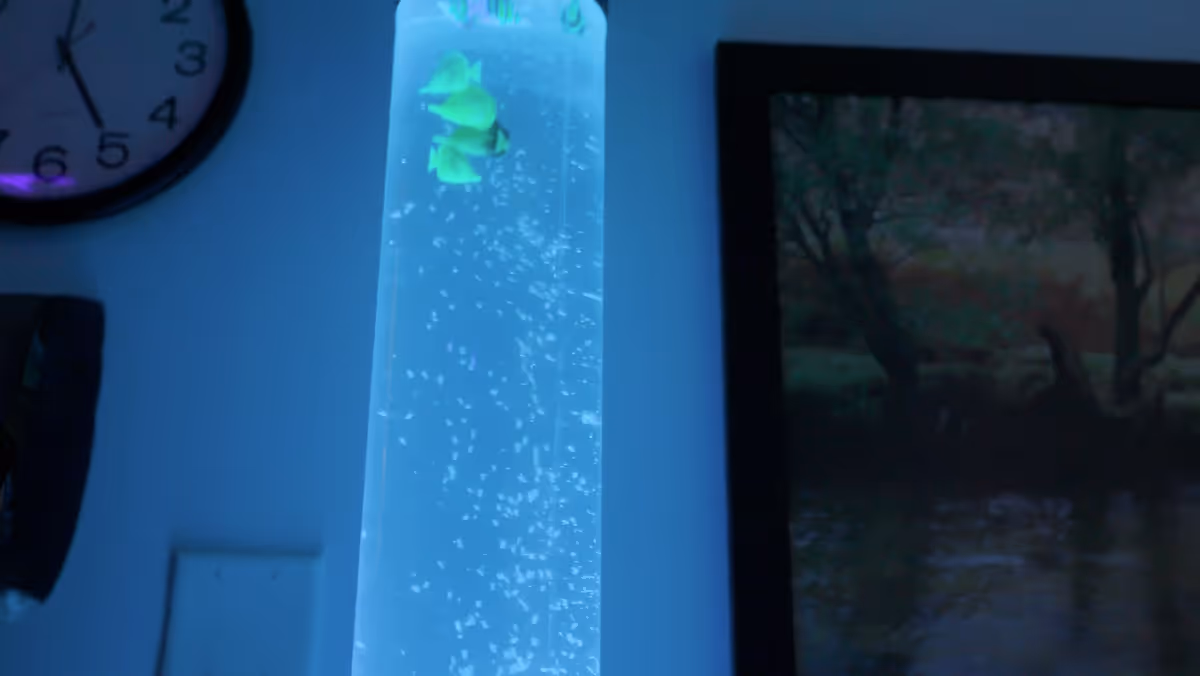A close-up view of a tall, cylindrical bubble tube lamp with small yellow fish inside, emitting a blue light. In the background, there is a wall clock showing the time as 5:25 and a framed picture of a nature scene with trees and water.