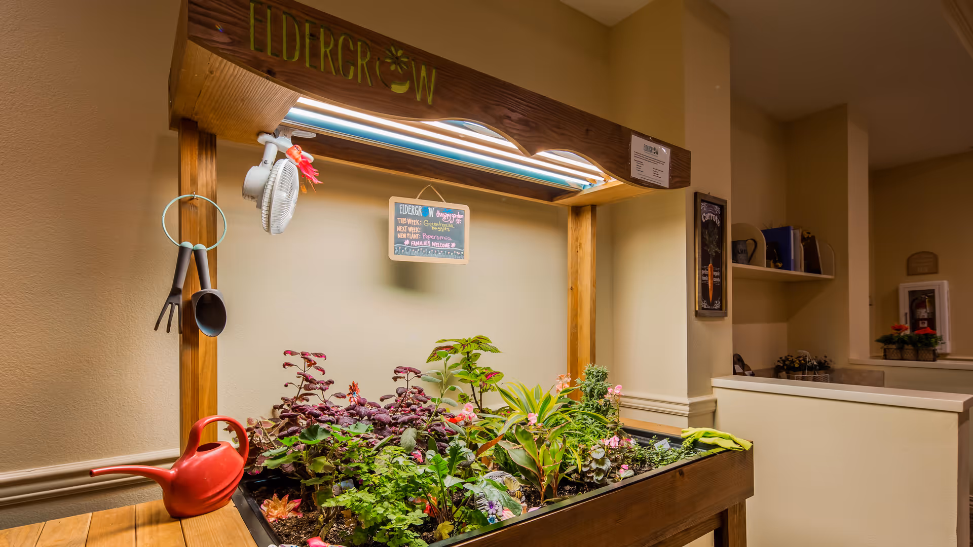 Indoor garden setup with various plants growing under a wooden frame labeled 'ELDERGROW'. A small fan and gardening tools hang on the side, and a red watering can is placed nearby. The background shows a beige wall and part of a hallway with shelves and a fire extinguisher cabinet.