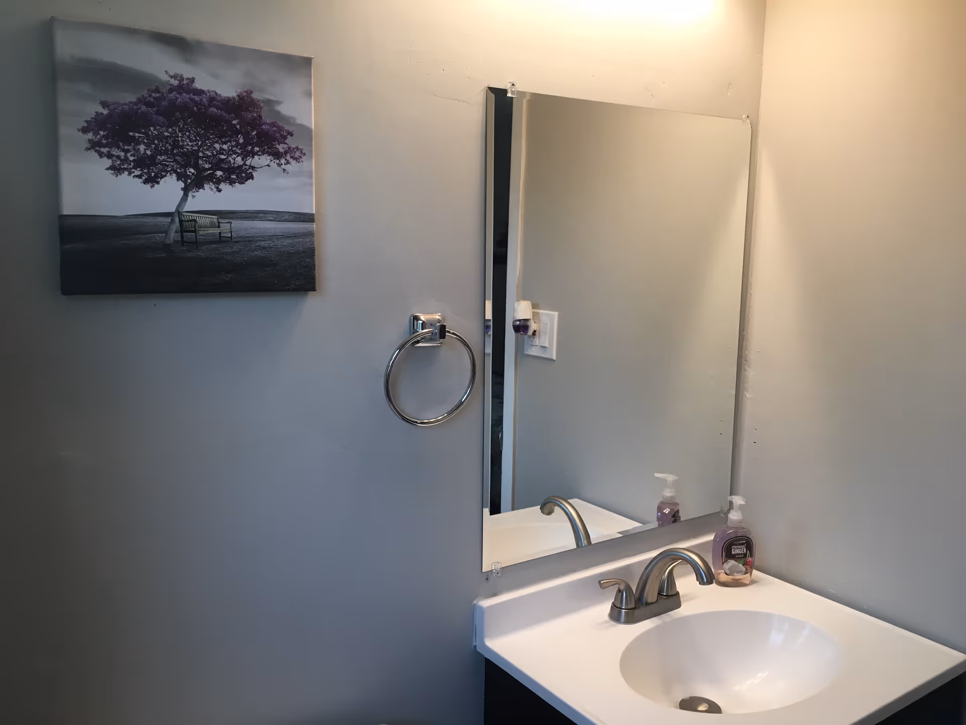 A bathroom sink with a silver faucet and a bottle of hand soap on the right side. Above the sink is a rectangular mirror mounted on a light gray wall. To the left of the mirror is a silver towel ring and a wall-mounted picture of a tree with purple leaves and a bench underneath it.