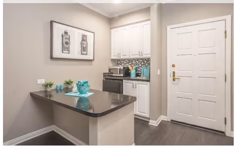 A small kitchen area with white cabinets, a black countertop, a microwave, a mini refrigerator, and a decorative teal owl on the counter. There is a framed black and white photo of vintage cameras on the wall and a white door to the right.