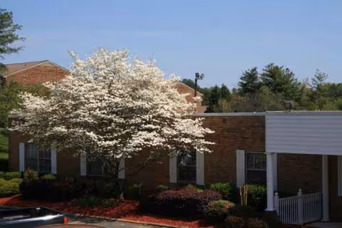 Brick senior living building with a blooming white tree in front and a white porch.