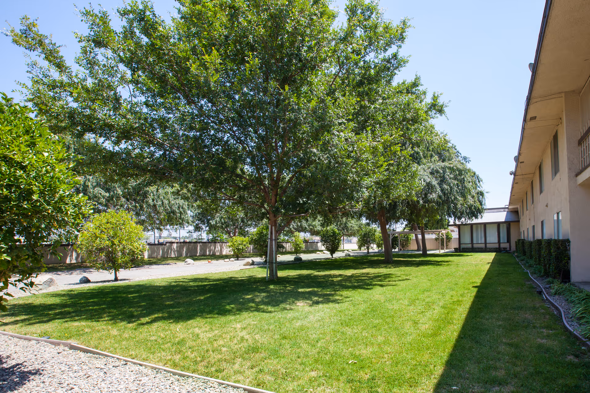 A sunny outdoor garden area with green grass, several trees providing shade, and a beige building on the right side. The sky is clear and blue.