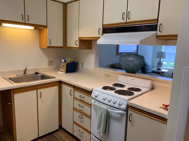A compact kitchen with cream-colored cabinets and wooden trim, featuring a small white electric stove with four coil burners and an oven. There is a stainless steel sink with a faucet on the left side of the countertop. Above the stove is a white range hood. The countertop is beige, and there is a pass-through window opening to an adjacent room where a large green vase and a lamp on a side table are visible.