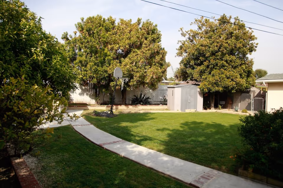 A backyard garden area with a green lawn, a concrete pathway bordered with bricks, several large leafy trees, a basketball hoop, a small storage shed, and a fence in the background under a clear sky.