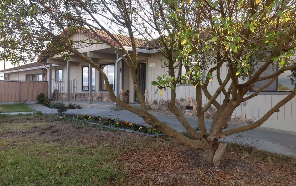 Exterior view of a single-story building with beige siding and a tiled roof, partially obscured by a large tree with multiple branches in the foreground. There is a concrete walkway leading to the entrance, flower beds with blooming flowers, and a fenced area to the left.