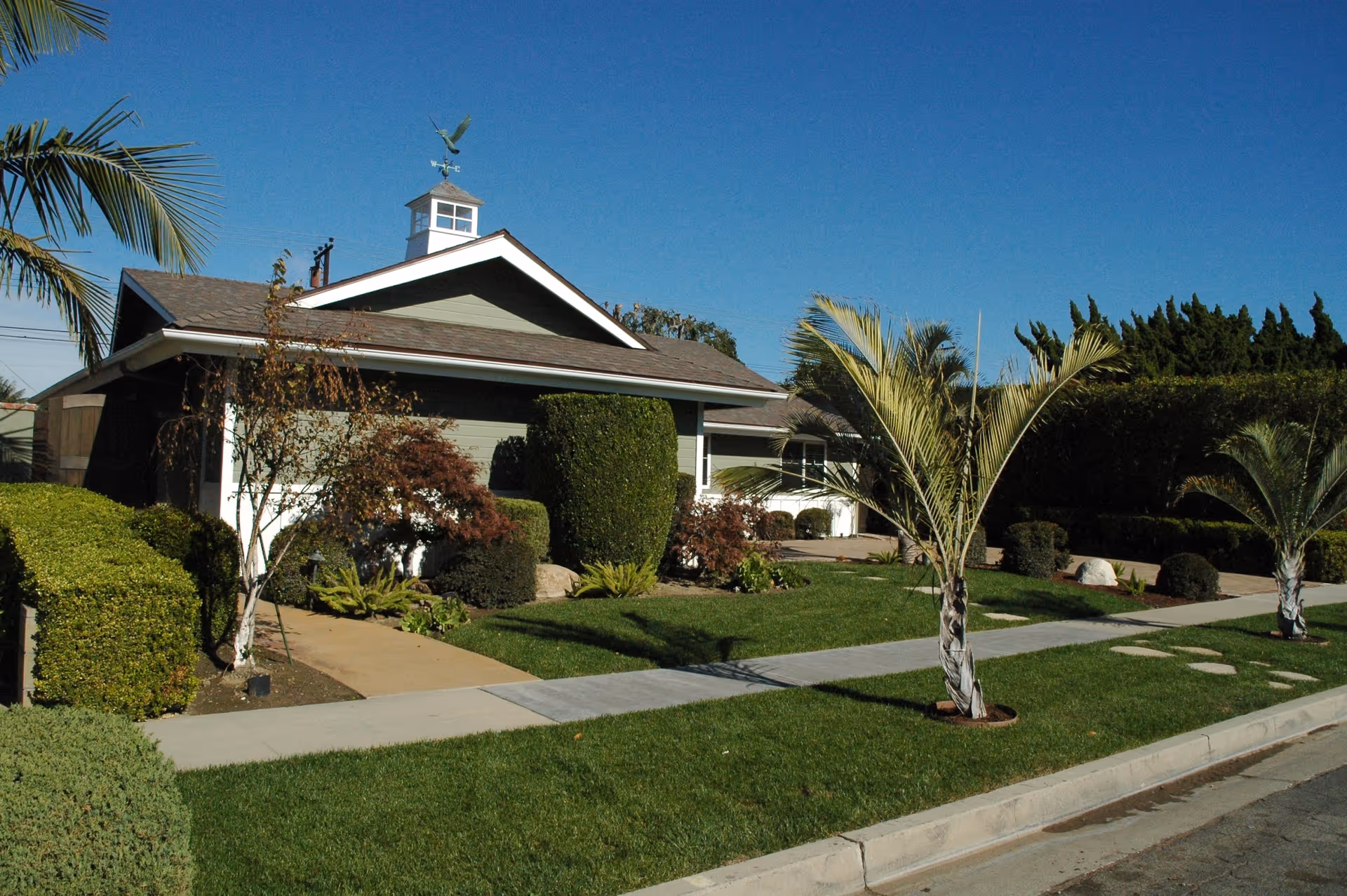 Single-story ranch-style building with a manicured lawn, palm trees, and a clear blue sky.