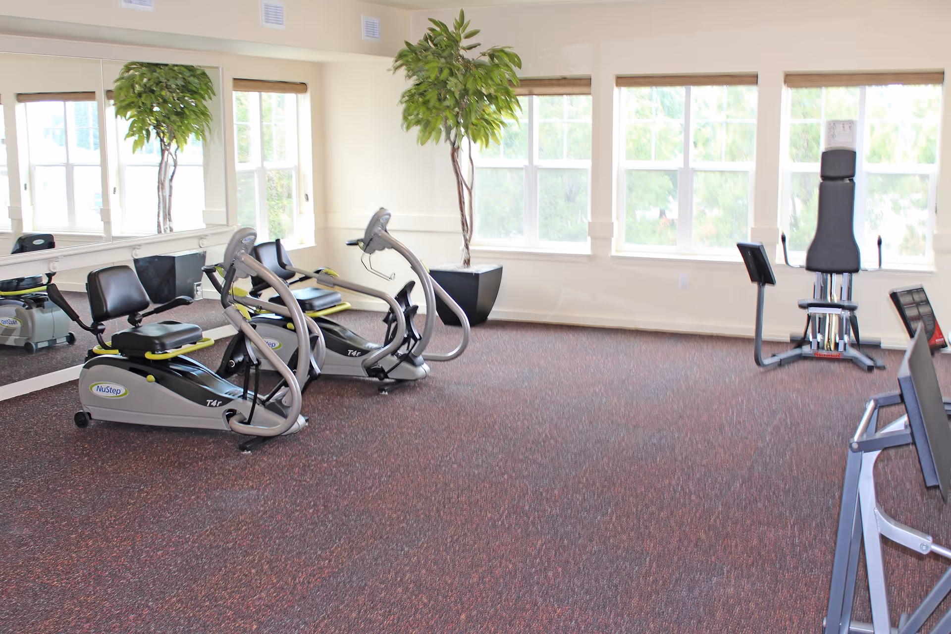 A bright exercise room with large windows letting in natural light. The room contains two NuStep recumbent cross trainers, a multi-function weight machine, and a large mirror on one wall. There are two tall potted plants placed near the windows.