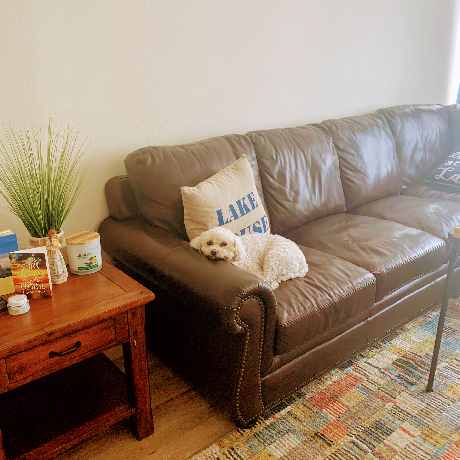 A small white dog lying on the armrest of a brown leather couch with decorative pillows. Next to the couch is a wooden side table with a potted plant, a candle, a small figurine, and a decorative card. The floor has a colorful patterned rug.