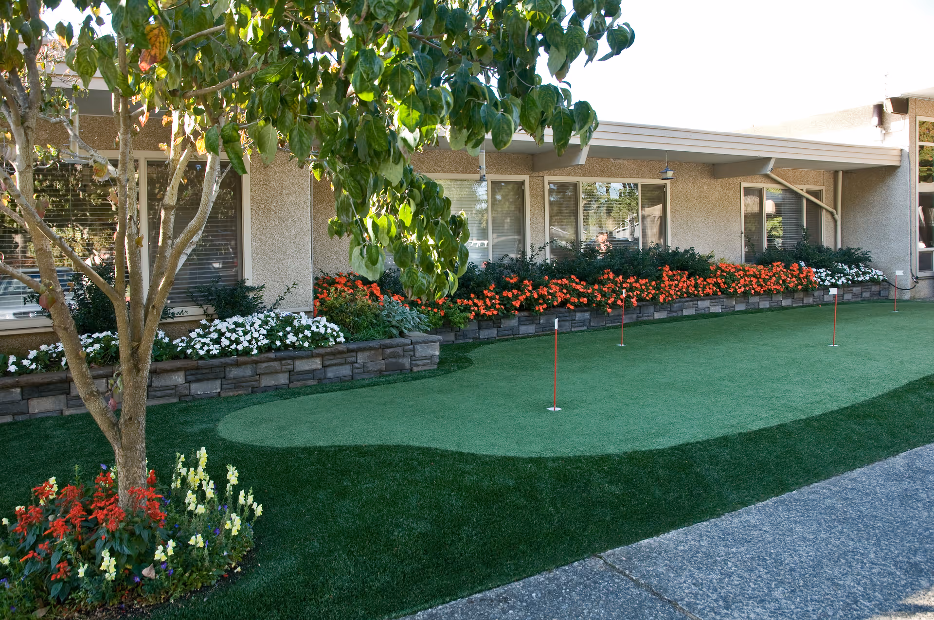Outdoor putting green area with small golf holes surrounded by flower beds with red, white, and yellow flowers, a tree, and a building with windows in the background.