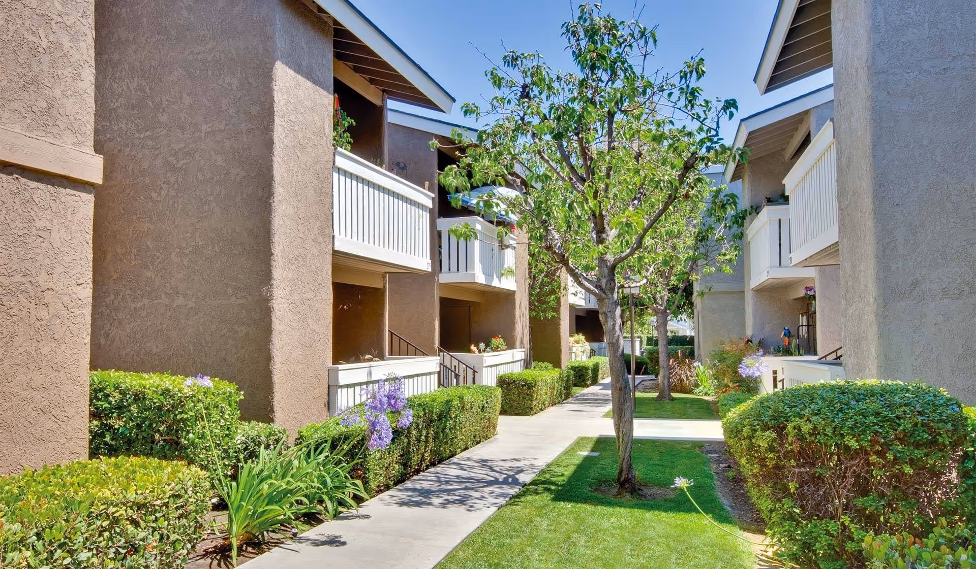 Photo 3 of Heritage Village Anaheim For Seniors