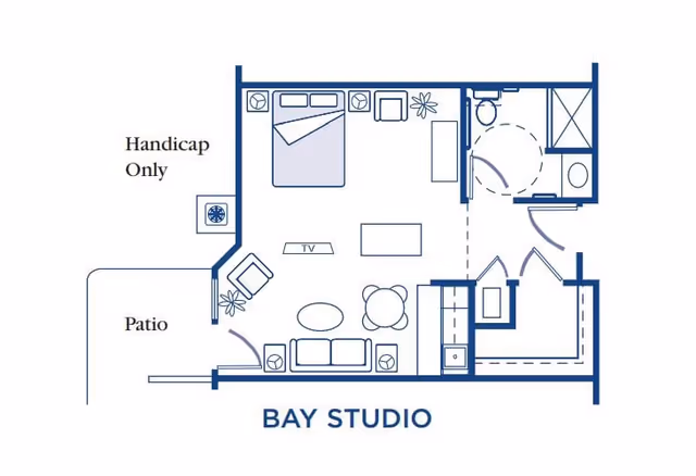 Architectural floor plan of a Bay Studio apartment at The Bungalows at Fayetteville, showing a combined living and sleeping area with a bed, sofa, chairs, TV, and table. The plan includes a bathroom with a shower and toilet, a closet, and a patio labeled 'Handicap Only'.