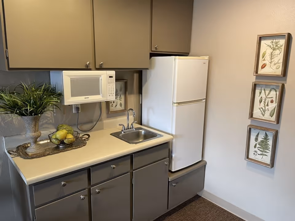 A small kitchen area with gray cabinets, a white microwave mounted above the counter, a stainless steel sink with a faucet, and a white refrigerator. On the countertop, there is a decorative tray with a vase of green plants and a bowl of fruit. Three framed botanical prints hang on the wall to the right of the refrigerator.