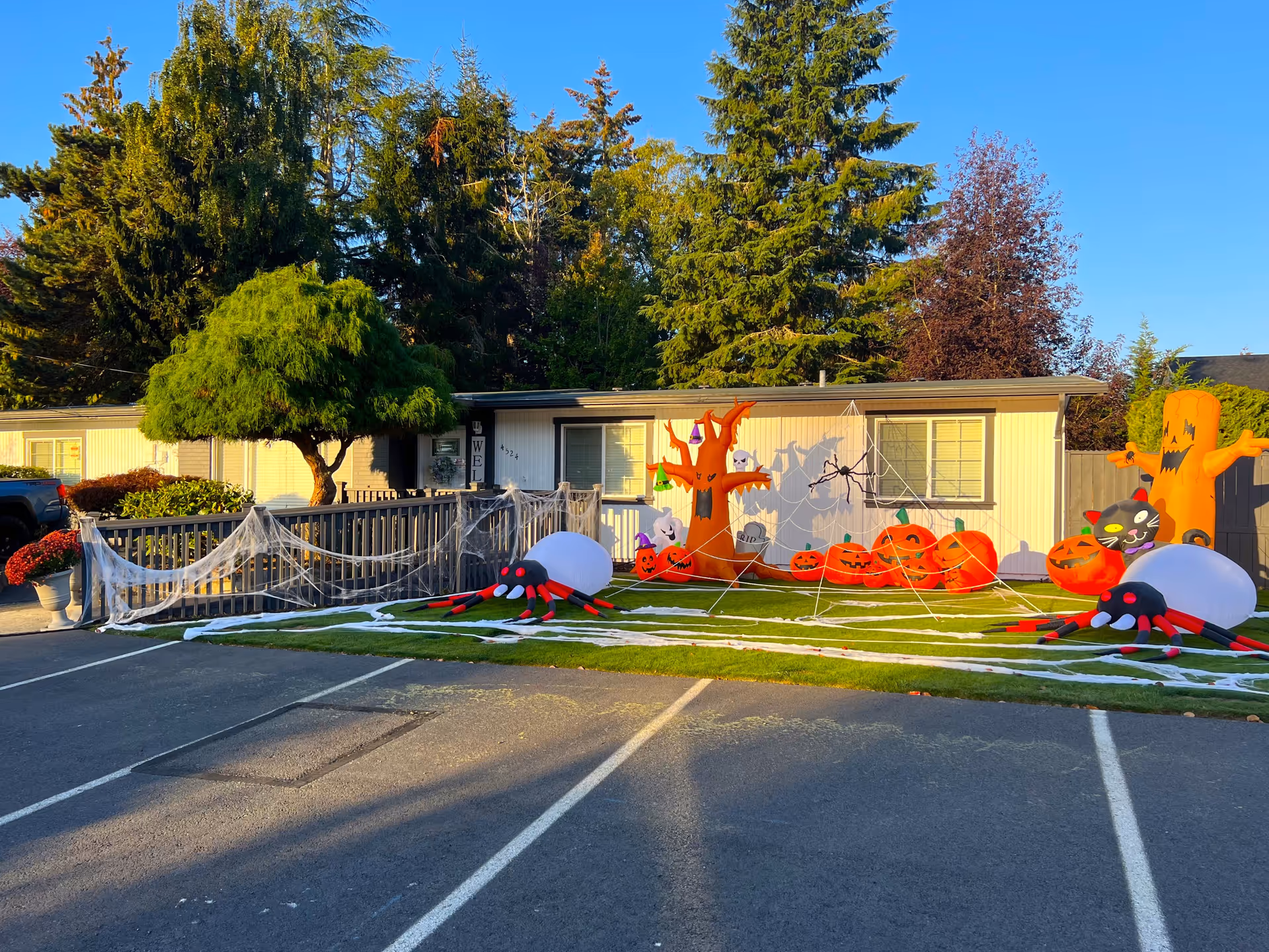 Exterior view of a single-story senior care home decorated with Halloween inflatables including large spiders, pumpkins, a spooky tree, and a black cat. White spider webs are draped over the fence and lawn. The building is surrounded by tall trees and a clear blue sky is visible.