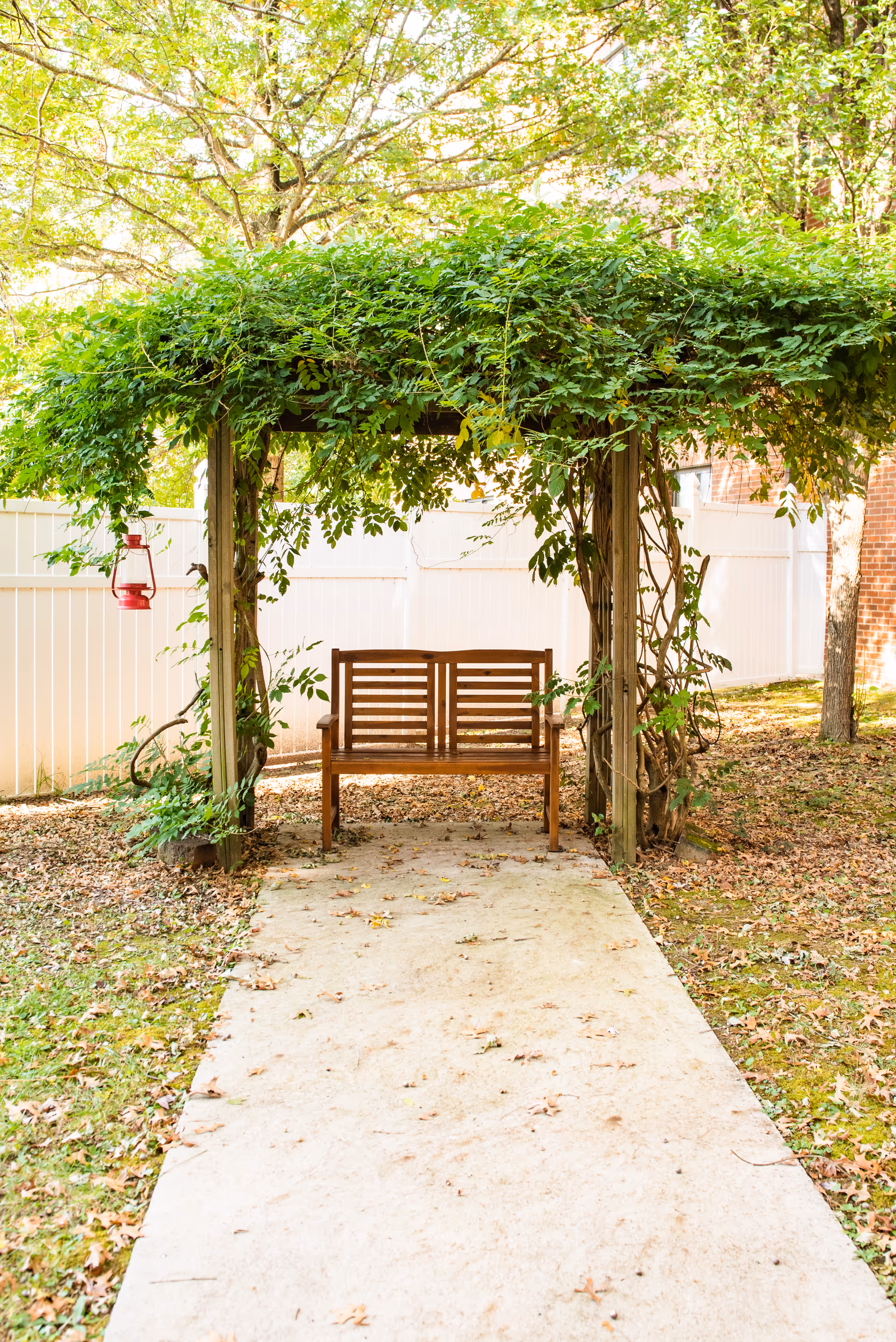 A wooden bench sits beneath a leafy pergola at the end of a concrete walkway in a garden.