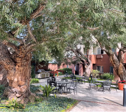 Outdoor courtyard area with large trees providing shade over several black metal tables and chairs. The courtyard is surrounded by a red brick building with windows and greenery, including potted plants and ground cover.