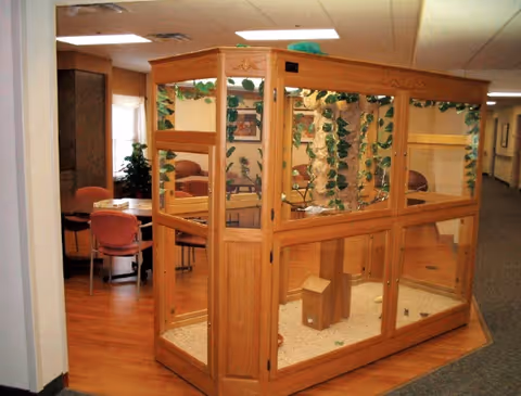 Indoor area of a senior living facility featuring a large wooden and glass enclosure with plants inside. In the background, there is a seating area with round tables and chairs, and framed pictures on the walls.