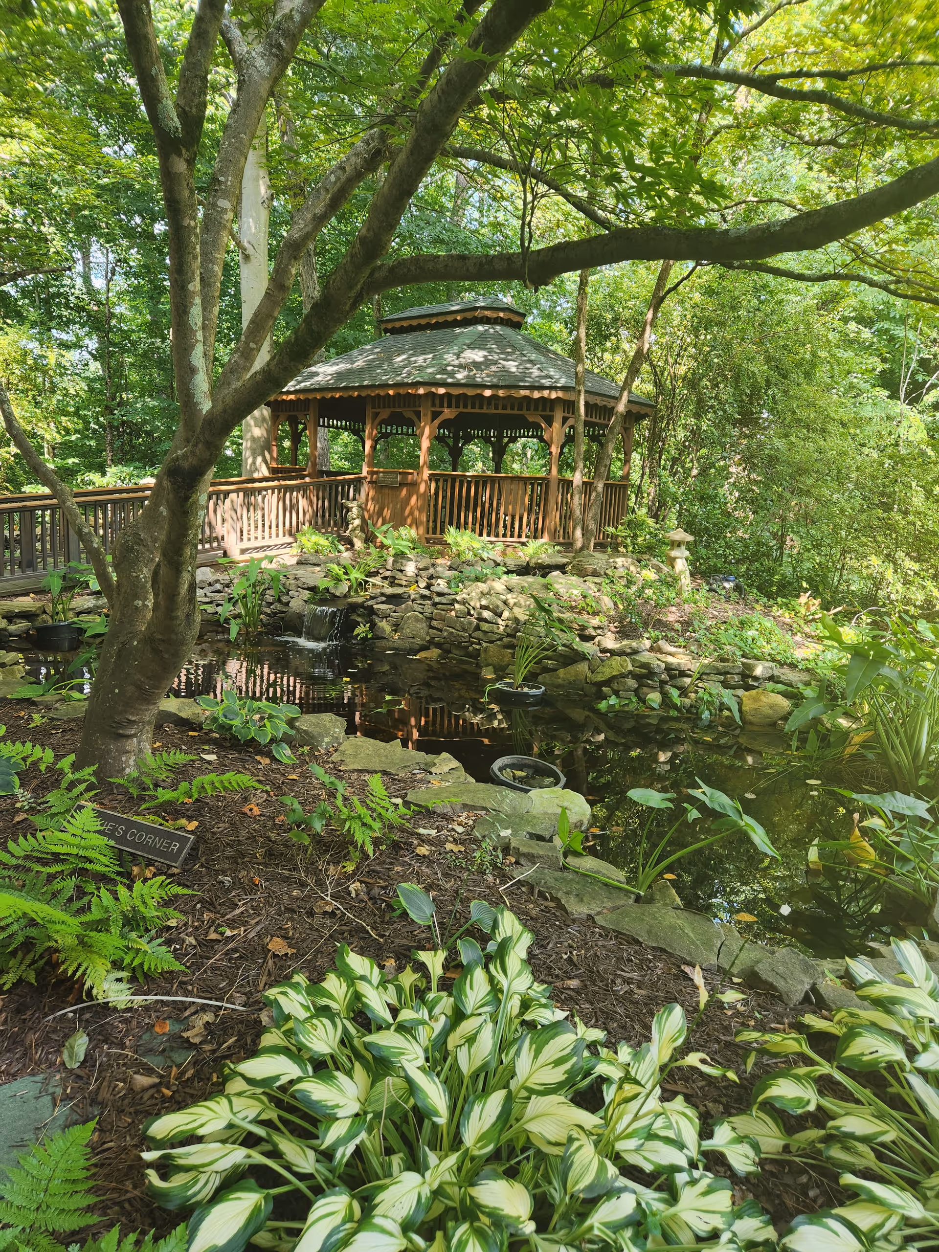 A peaceful garden scene featuring a wooden gazebo surrounded by lush green trees and plants. In the foreground, there is a small pond with rocks and aquatic plants, and a tree with spreading branches providing shade.