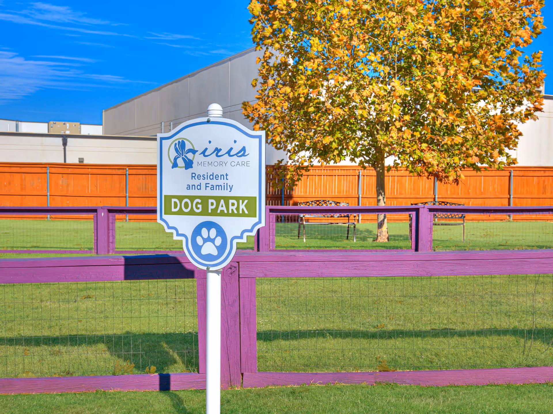 A fenced dog park area with green grass and a tree with autumn-colored leaves. A white sign with blue and green text reads 'iris MEMORY CARE Resident and Family DOG PARK' with a paw print symbol. The fence is painted purple and there is a wooden orange fence and building in the background under a clear blue sky.