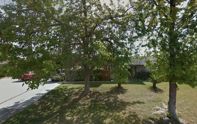 A front yard with three leafy green trees casting shadows on the grass, a driveway with parked cars on the left, and a partially visible building in the background.