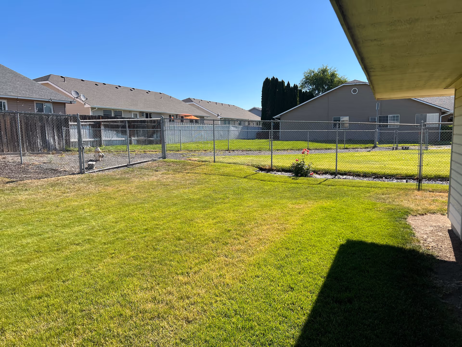 A fenced backyard area with green grass and a few small plants. There are neighboring houses visible beyond the chain-link fence under a clear blue sky.