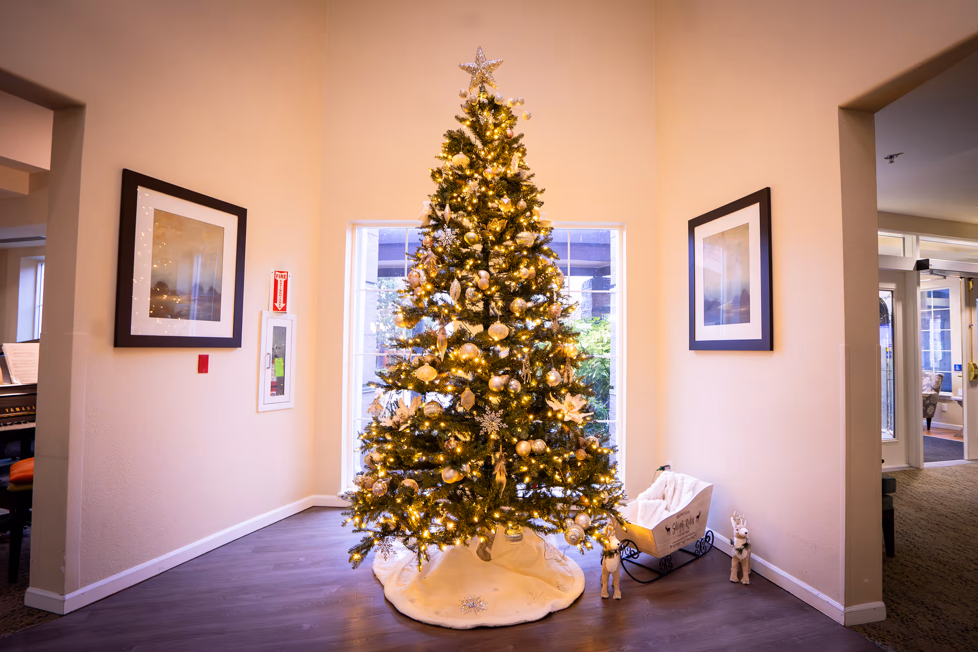 A decorated Christmas tree with white and gold ornaments and lights stands in a corner of a room with beige walls and dark wood flooring. There are two framed pictures on the walls on either side of the tree, a small decorative sleigh with a white blanket, and two small reindeer figurines on the floor. The room has windows behind the tree letting in natural light.